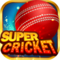 Super Cricket Rummy APK