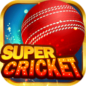 Super Cricket Rummy APK